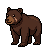 Forest Bear